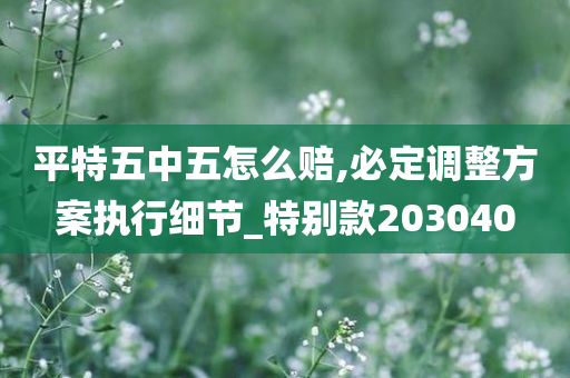 平特五中五怎么赔,必定调整方案执行细节_特别款203040