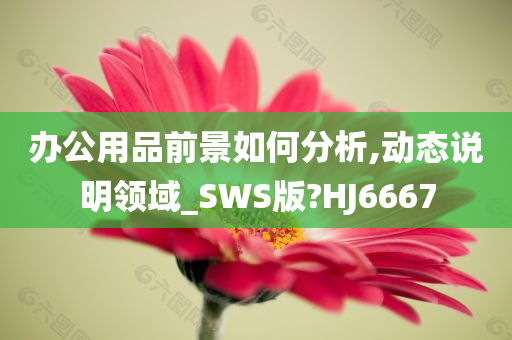 办公用品前景如何分析,动态说明领域_SWS版?HJ6667