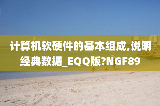 计算机软硬件的基本组成,说明经典数据_EQQ版?NGF89