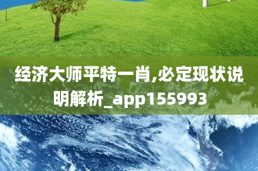 经济大师平特一肖,必定现状说明解析_app155993