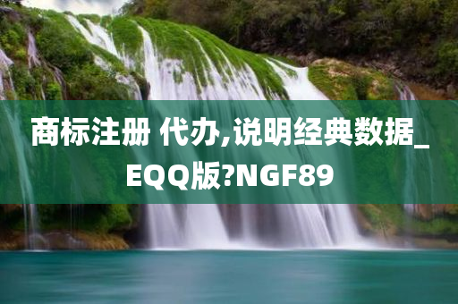 商标注册 代办,说明经典数据_EQQ版?NGF89