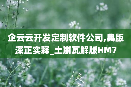 企云云开发定制软件公司,典版深正实释_土崩瓦解版HM7