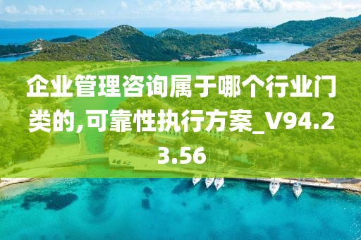 企业管理咨询属于哪个行业门类的,可靠性执行方案_V94.23.56