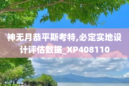 神无月恭平斯考特,必定实地设计评估数据_XP408110