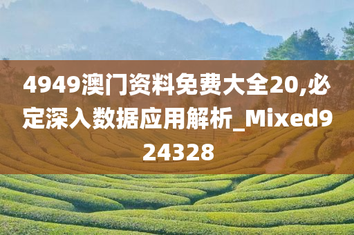 4949澳门资料免费大全20,必定深入数据应用解析_Mixed924328