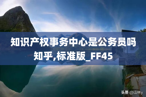 知识产权事务中心是公务员吗知乎,标准版_FF45