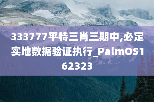 333777平特三肖三期中,必定实地数据验证执行_PalmOS162323