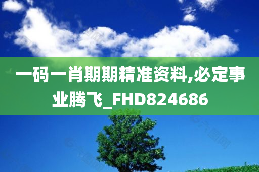 一码一肖期期精准资料,必定事业腾飞_FHD824686