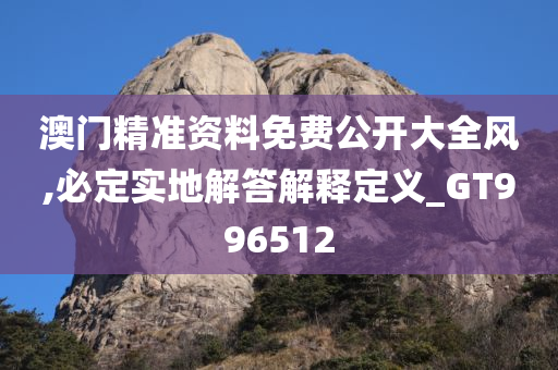 澳门精准资料免费公开大全风,必定实地解答解释定义_GT996512