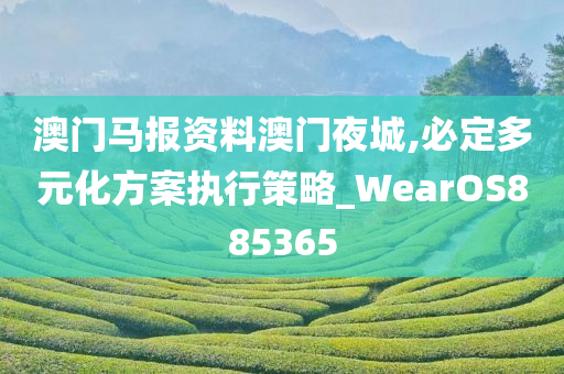 澳门马报资料澳门夜城,必定多元化方案执行策略_WearOS885365