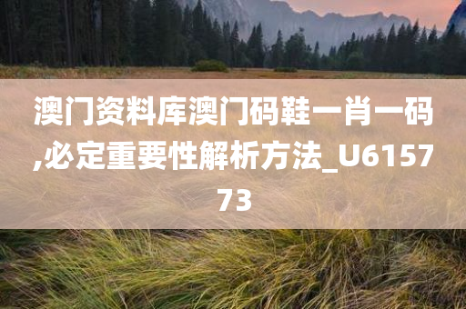 澳门资料库澳门码鞋一肖一码,必定重要性解析方法_U615773