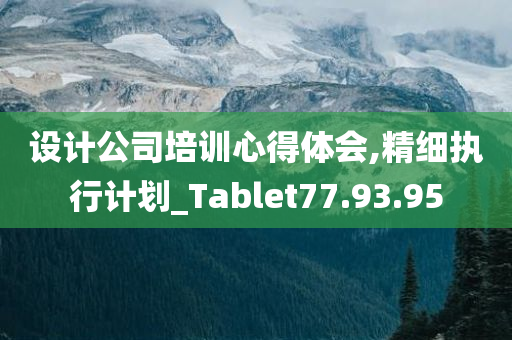 设计公司培训心得体会,精细执行计划_Tablet77.93.95