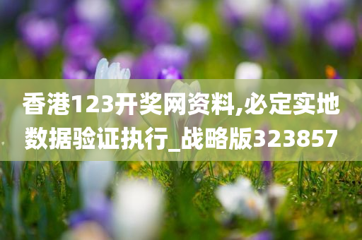 香港123开奖网资料,必定实地数据验证执行_战略版323857