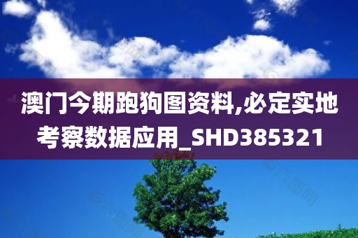 澳门今期跑狗图资料,必定实地考察数据应用_SHD385321