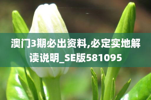 澳门3期必出资料,必定实地解读说明_SE版581095