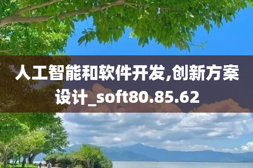 人工智能和软件开发,创新方案设计_soft80.85.62