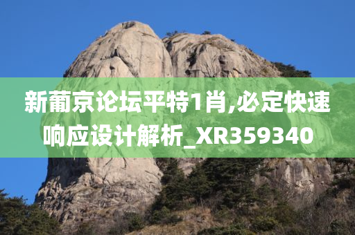 新葡京论坛平特1肖,必定快速响应设计解析_XR359340