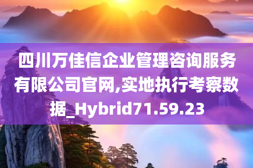 四川万佳信企业管理咨询服务有限公司官网,实地执行考察数据_Hybrid71.59.23