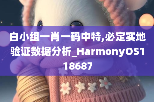 白小组一肖一码中特,必定实地验证数据分析_HarmonyOS118687