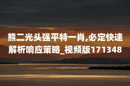 熊二光头强平特一肖,必定快速解析响应策略_视频版171348