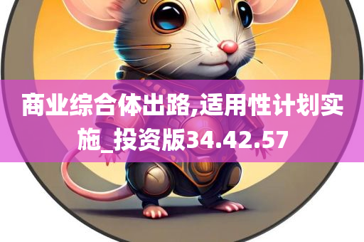 商业综合体出路,适用性计划实施_投资版34.42.57