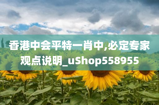 香港中会平特一肖中,必定专家观点说明_uShop558955