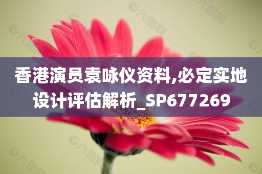 香港演员袁咏仪资料,必定实地设计评估解析_SP677269