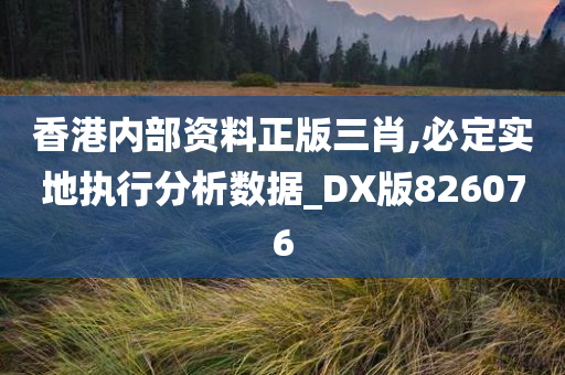 香港内部资料正版三肖,必定实地执行分析数据_DX版826076