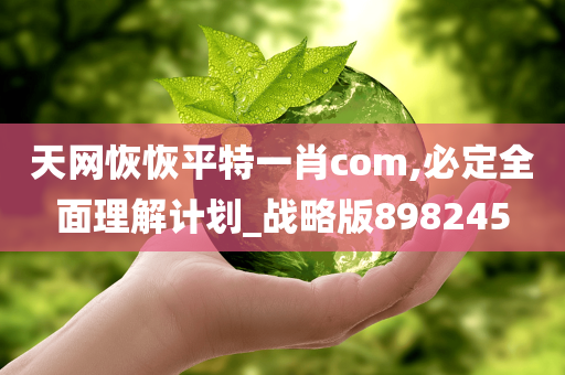 天网恢恢平特一肖com,必定全面理解计划_战略版898245