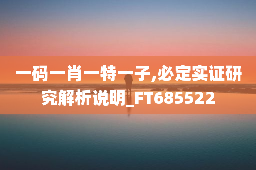 一码一肖一特一子,必定实证研究解析说明_FT685522