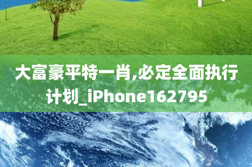 大富豪平特一肖,必定全面执行计划_iPhone162795