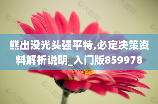 熊出没光头强平特,必定决策资料解析说明_入门版859978