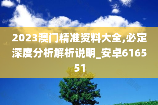 2023澳门精准资料大全,必定深度分析解析说明_安卓616551