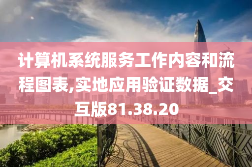 计算机系统服务工作内容和流程图表,实地应用验证数据_交互版81.38.20