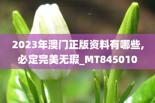 2023年澳门正版资料有哪些,必定完美无瑕_MT845010