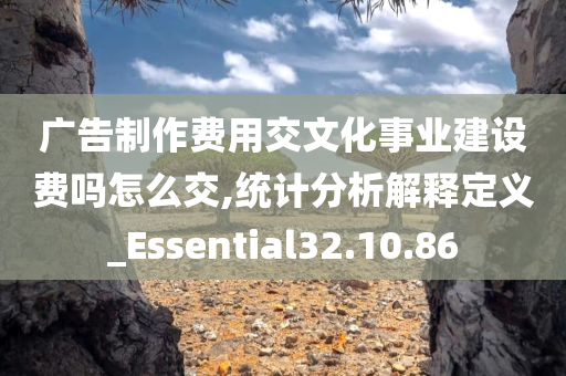 广告制作费用交文化事业建设费吗怎么交,统计分析解释定义_Essential32.10.86