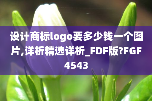 设计商标logo要多少钱一个图片,详析精选详析_FDF版?FGF4543