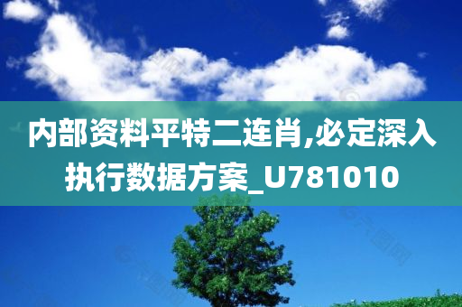 内部资料平特二连肖,必定深入执行数据方案_U781010