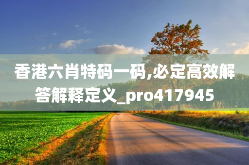 香港六肖特码一码,必定高效解答解释定义_pro417945