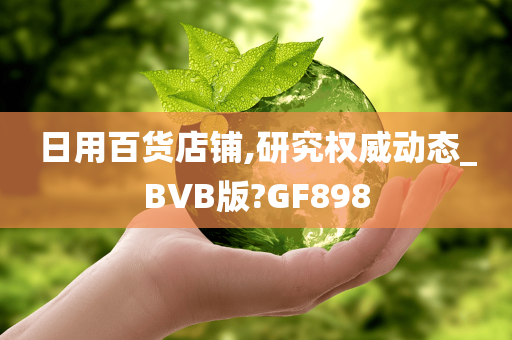 日用百货店铺,研究权威动态_BVB版?GF898