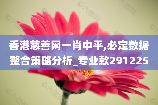 香港慈善网一肖中平,必定数据整合策略分析_专业款291225