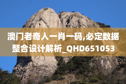 澳门老奇人一肖一码,必定数据整合设计解析_QHD651053