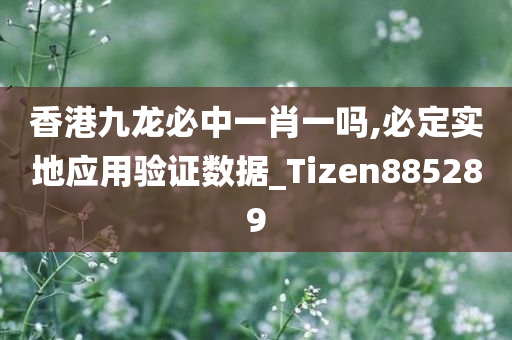 香港九龙必中一肖一吗,必定实地应用验证数据_Tizen885289