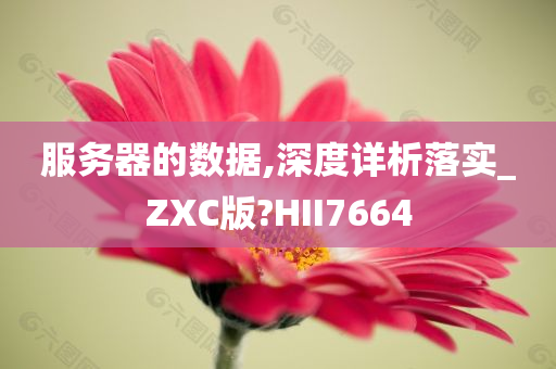 服务器的数据,深度详析落实_ZXC版?HII7664