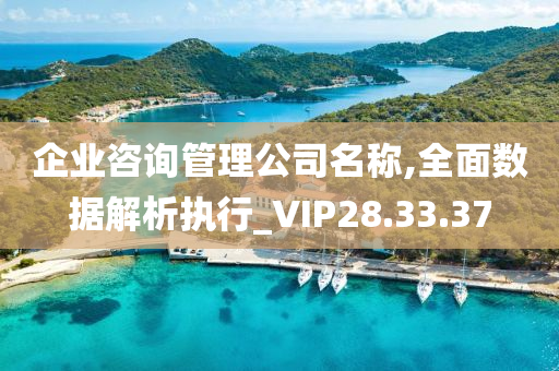 企业咨询管理公司名称,全面数据解析执行_VIP28.33.37