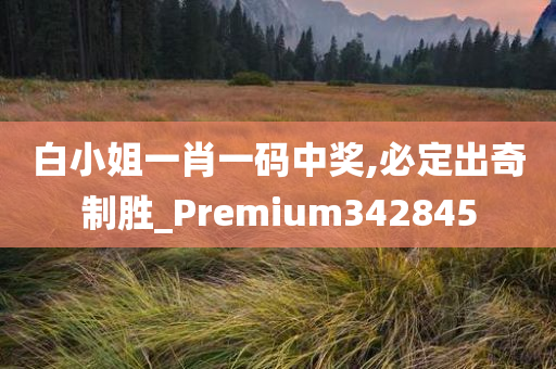 白小姐一肖一码中奖,必定出奇制胜_Premium342845