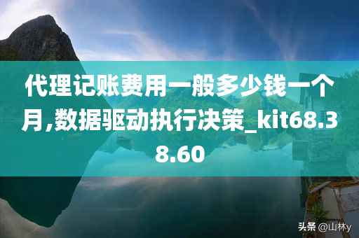 代理记账费用一般多少钱一个月,数据驱动执行决策_kit68.38.60