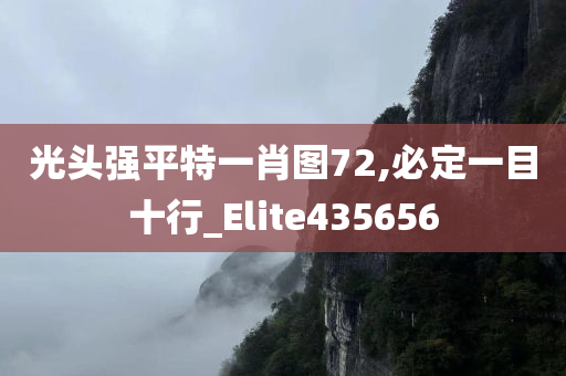 光头强平特一肖图72,必定一目十行_Elite435656