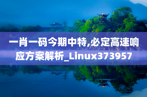 一肖一码今期中特,必定高速响应方案解析_Linux373957