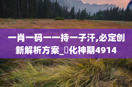 一肖一码一一持一子汗,必定创新解析方案_‌化神期4914